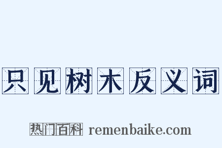 只见树木反义词是什么意思的图片